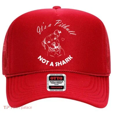 It's A Pitbull Not A Shark Hat