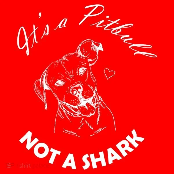 It's A Pitbull Not A Shark Women's T-Shirt