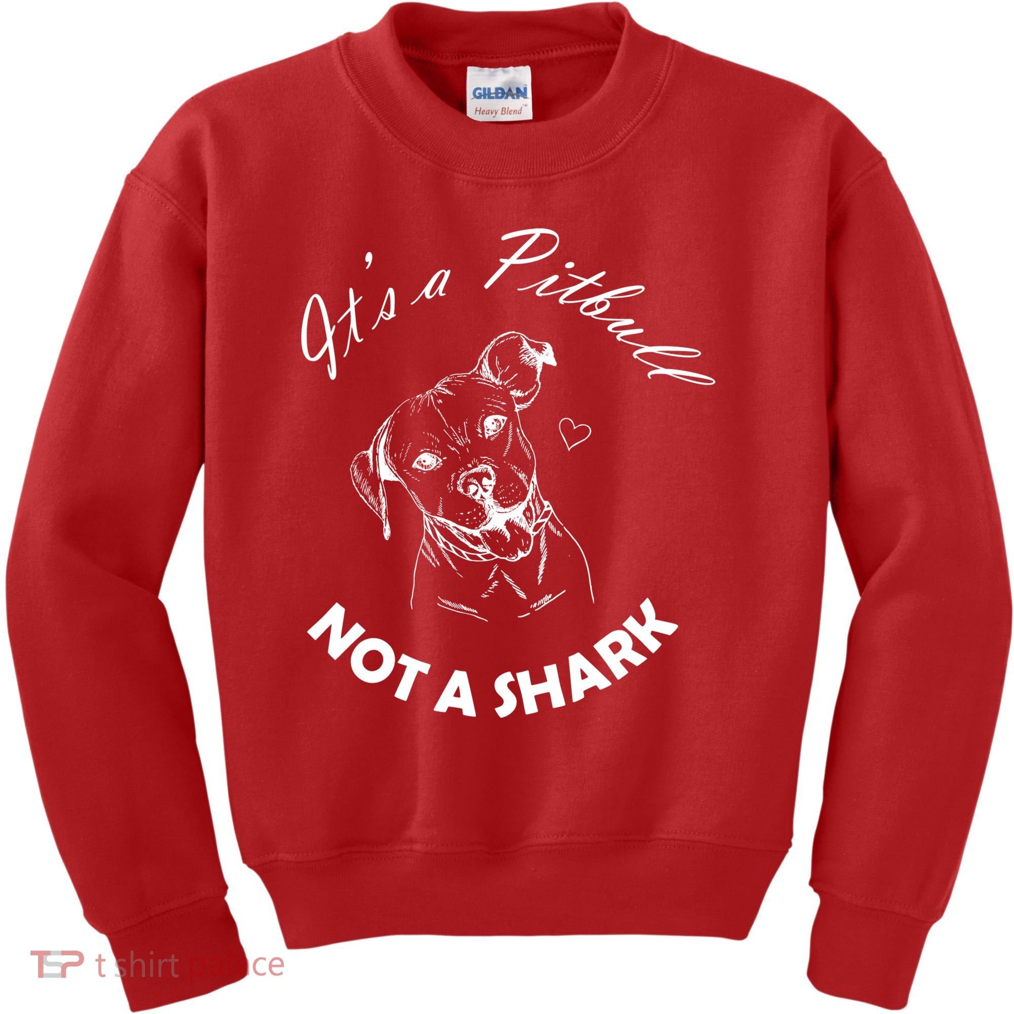 It's A Pitbull Not A Shark Kids Sweatshirt