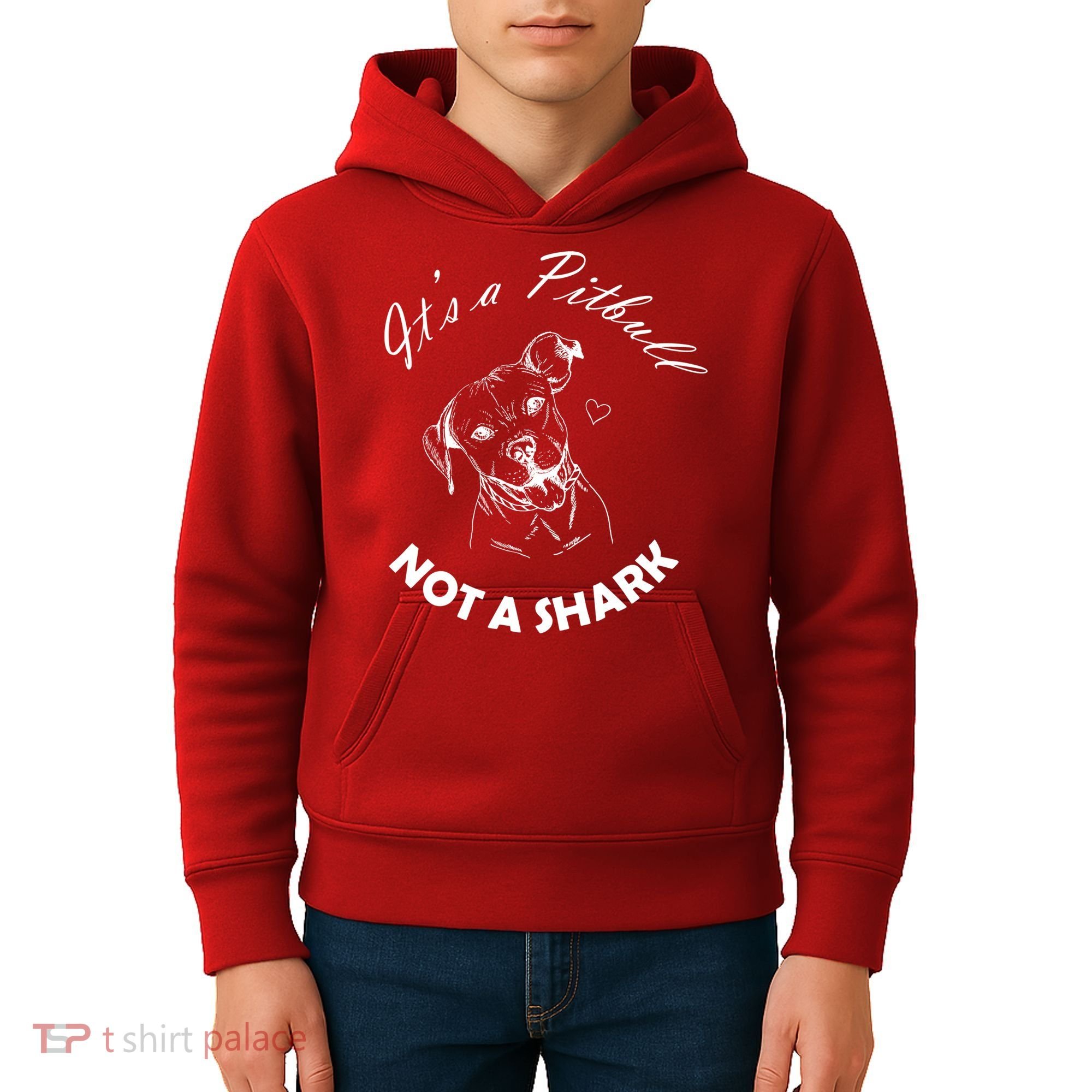 It's A Pitbull Not A Shark Kids Hoodie