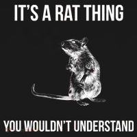 It's A Rat Thing You Wouldn't Understand Kids Long Sleeve Shirt thumb 2