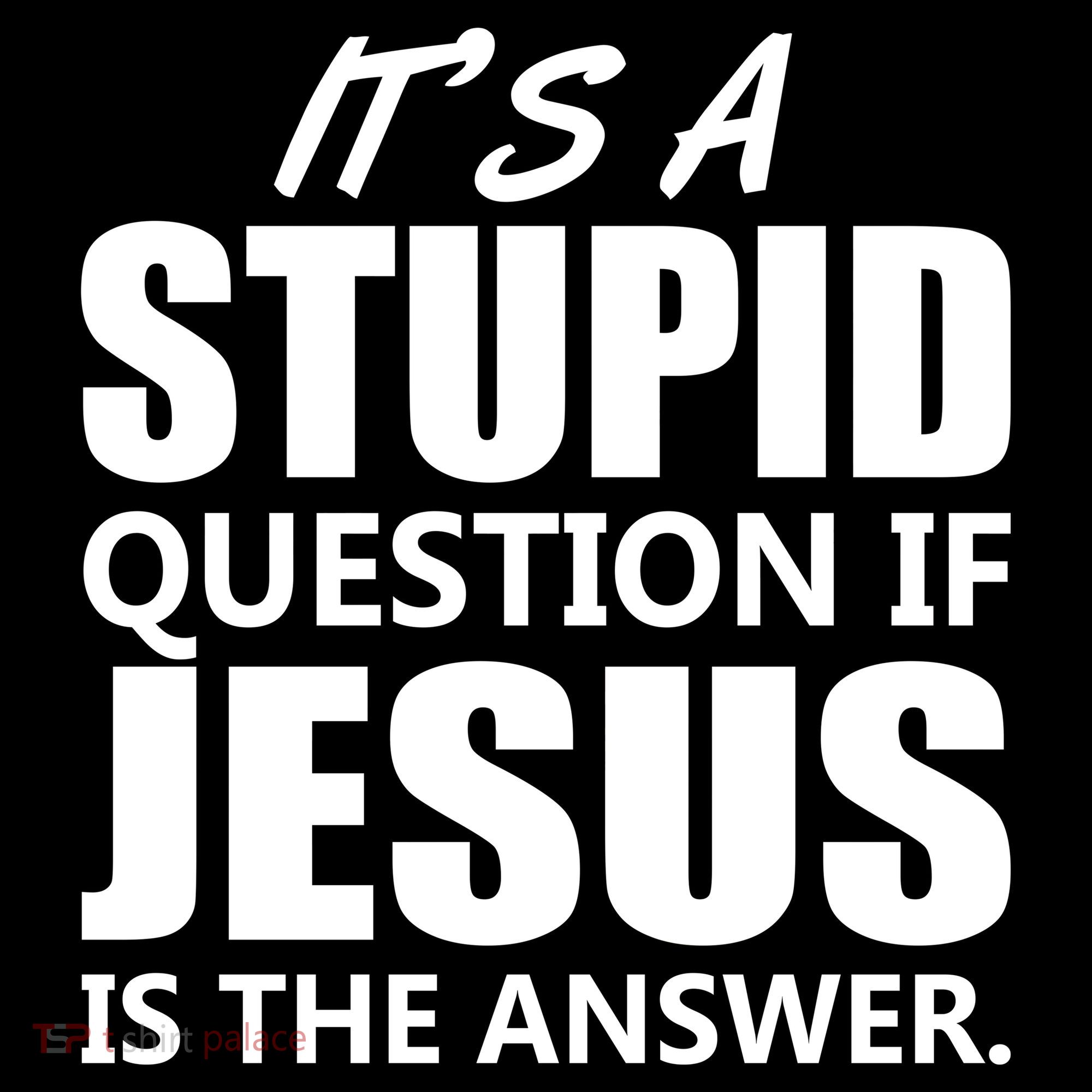 It's A Stupid Question If Jesus Is The Answer Hoodie