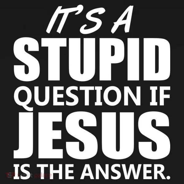 It's A Stupid Question If Jesus Is The Answer Women's Hoodie