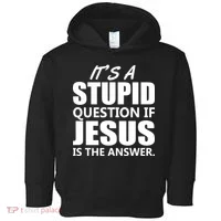 It's A Stupid Question If Jesus Is The Answer Toddler Hoodie thumb 0