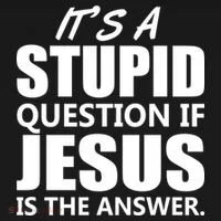 It's A Stupid Question If Jesus Is The Answer Toddler Hoodie thumb 2