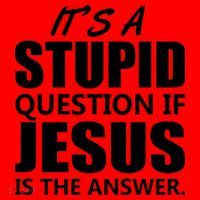 It's A Stupid Question If Jesus Is The Answer Santa Hat thumb 1