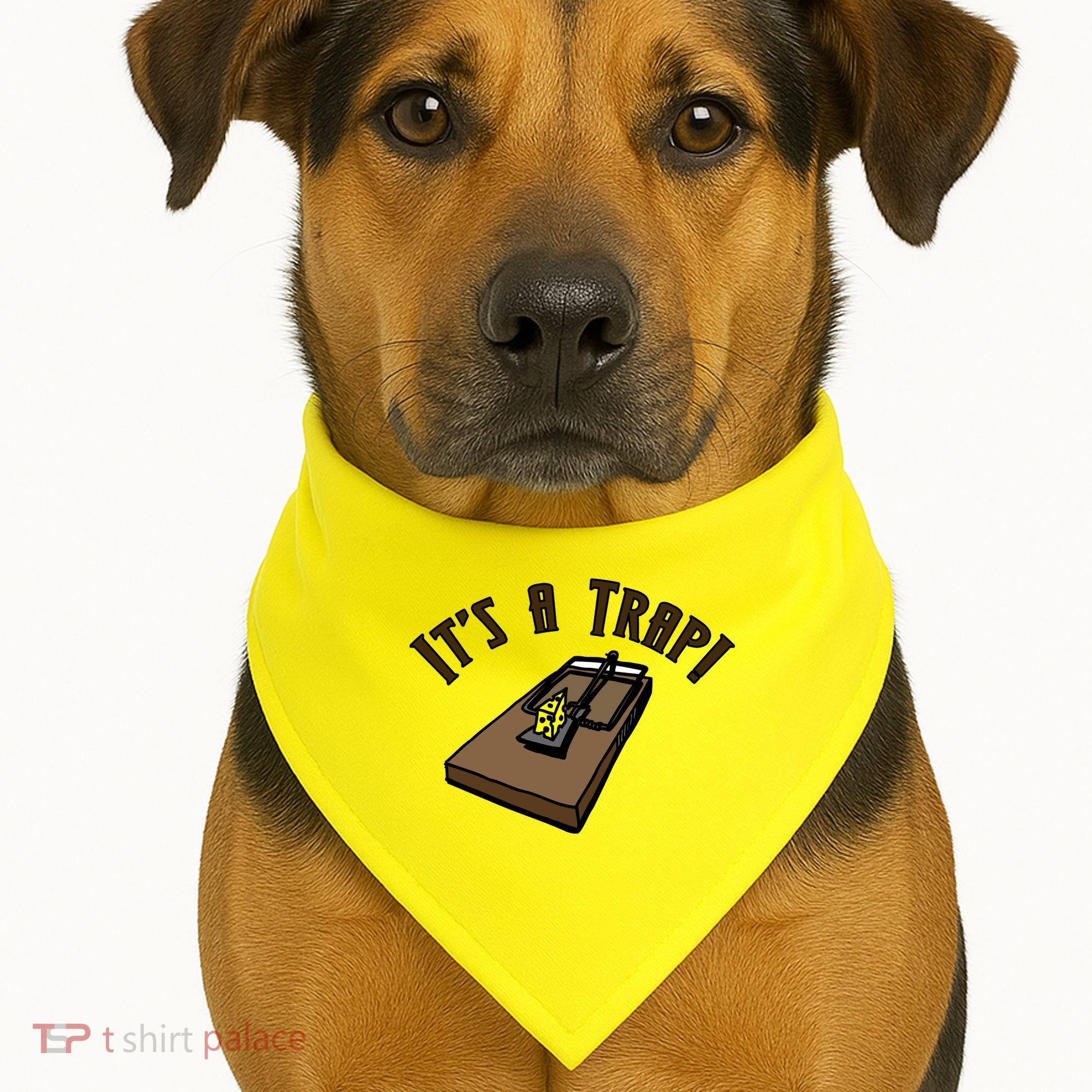 It's A TRAP! USA-Made Doggie Bandana