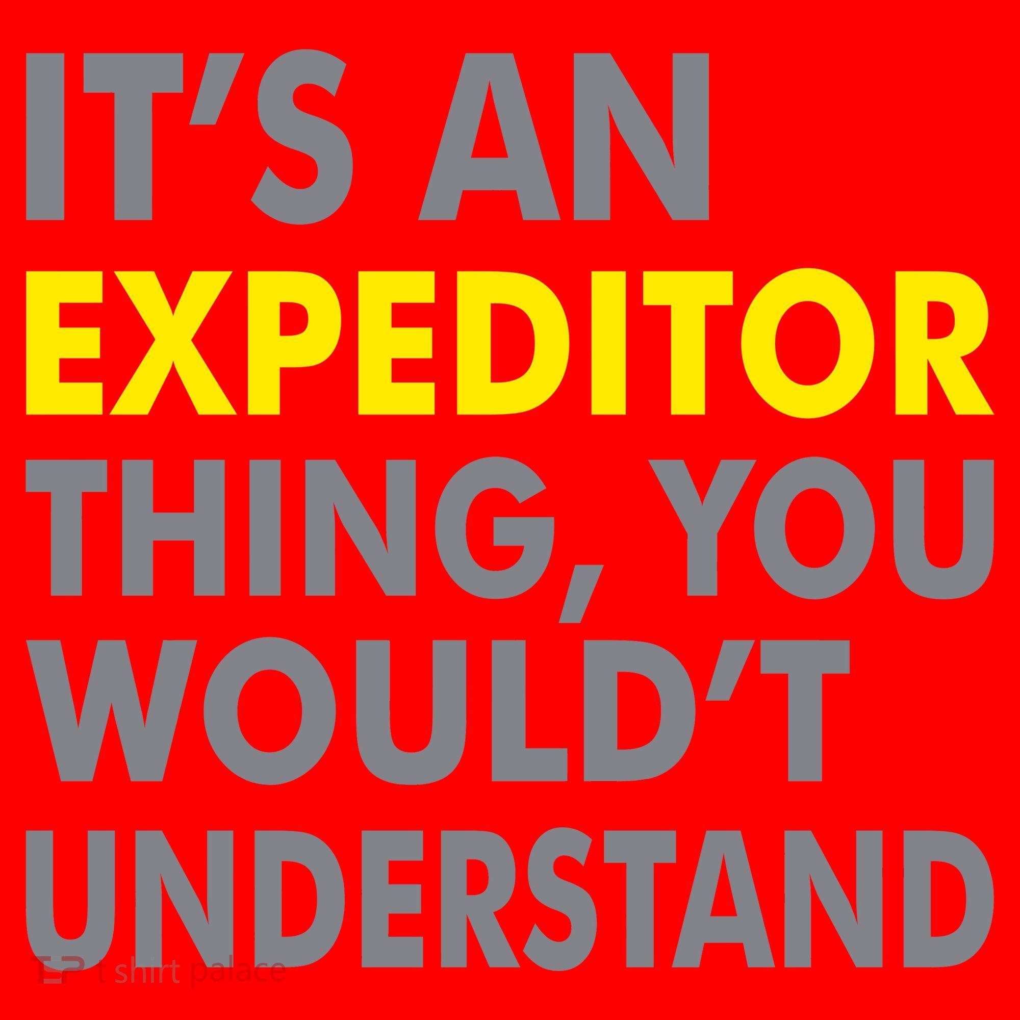 It's An Expeditor Thing Santa Hat