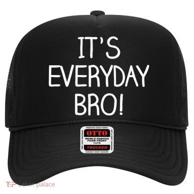 It's Everyday Bro! Funny Hat