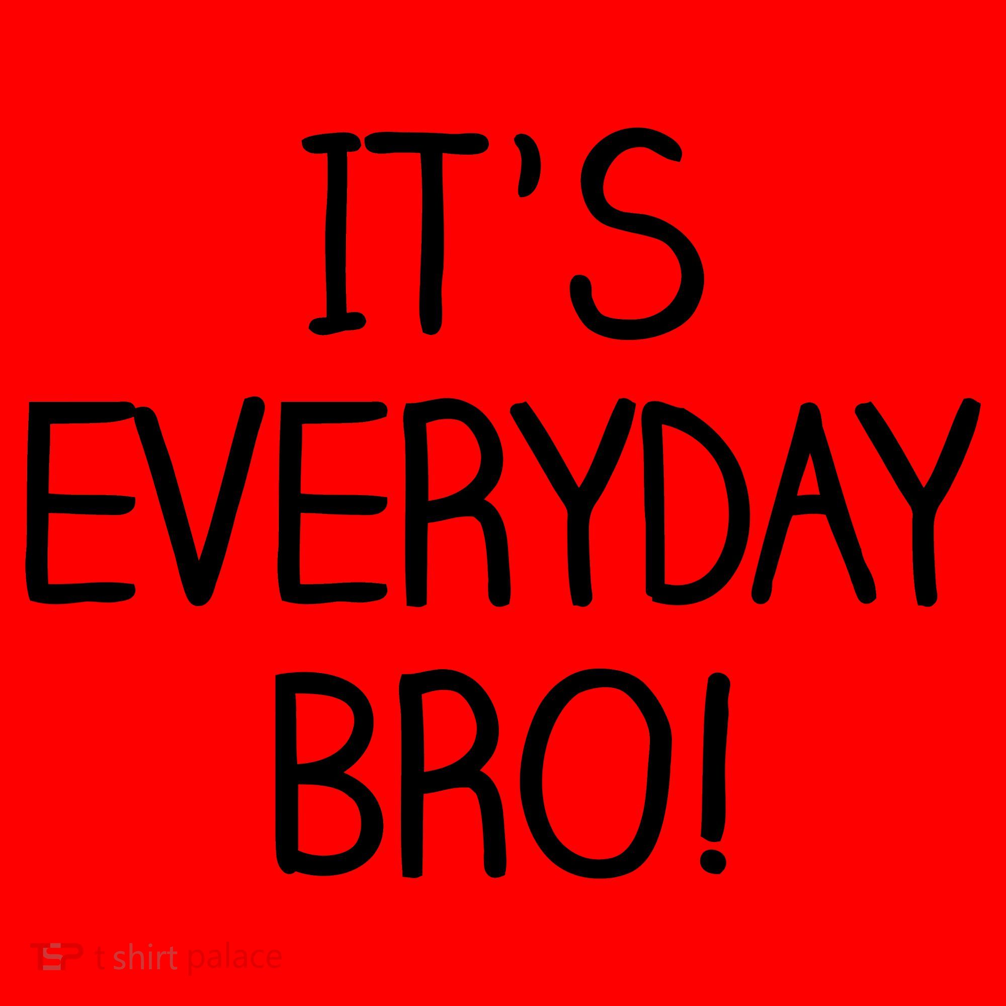 It's Everyday Bro! Funny Santa Hat