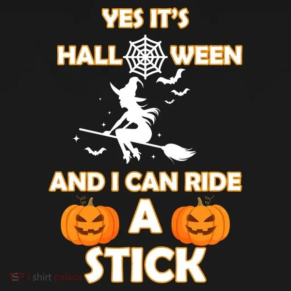 Its Halloween & I Can Ride a Stick Witch Toddler Hoodie