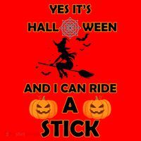 Its Halloween & I Can Ride a Stick Witch Santa Hat thumb 1