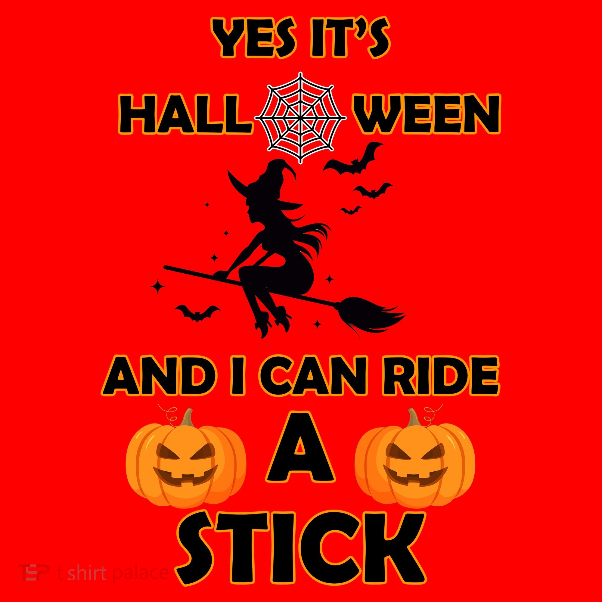 Its Halloween & I Can Ride a Stick Witch Santa Hat