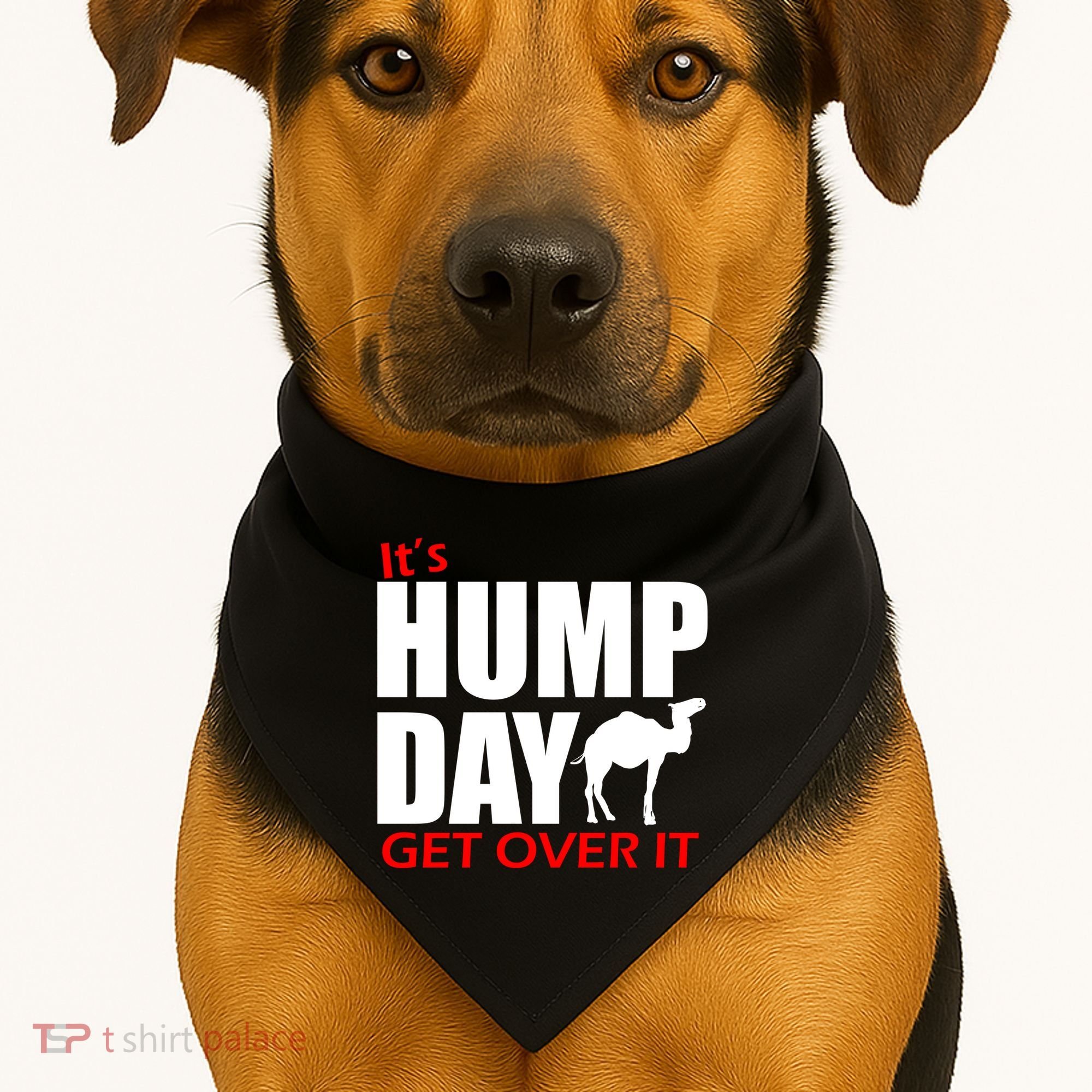 It's Hump Day Get Over It USA-Made Doggie Bandana
