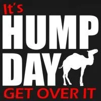 It's Hump Day Get Over It Bucket Hat thumb 4