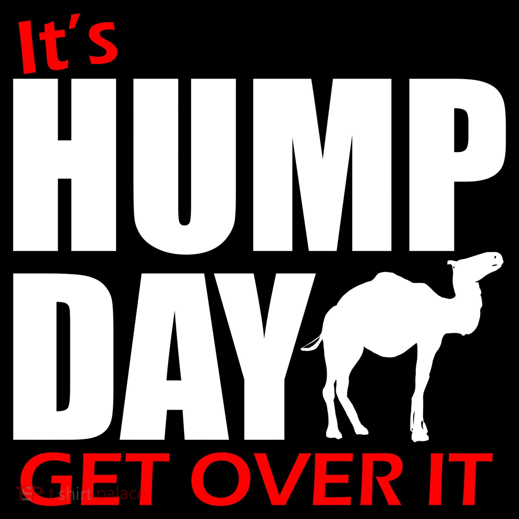 It's Hump Day Get Over It Women's Hoodie