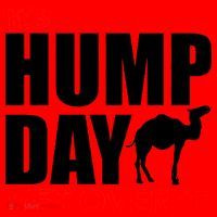 It's Hump Day Get Over It Santa Hat thumb 1