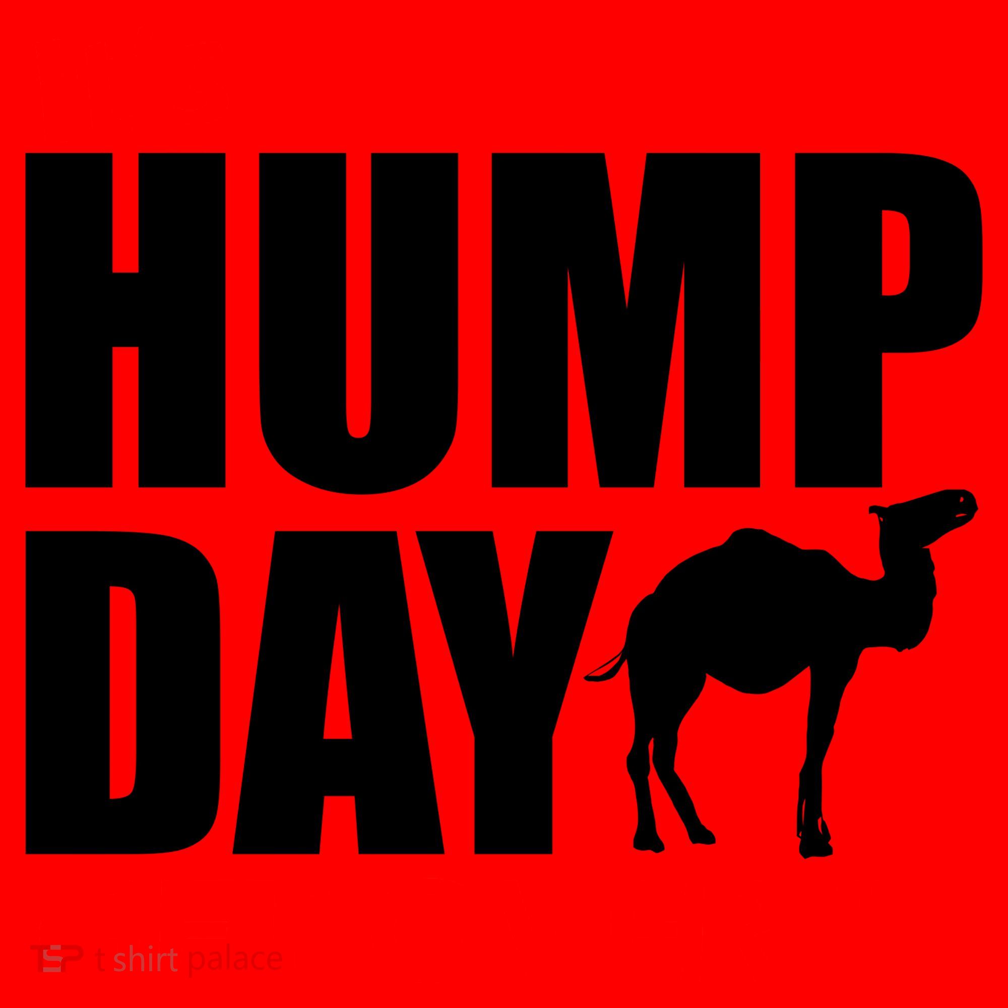 It's Hump Day Get Over It Santa Hat