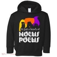 It's Just A Bunch of Hocus Pocus Halloween Toddler Hoodie thumb 0