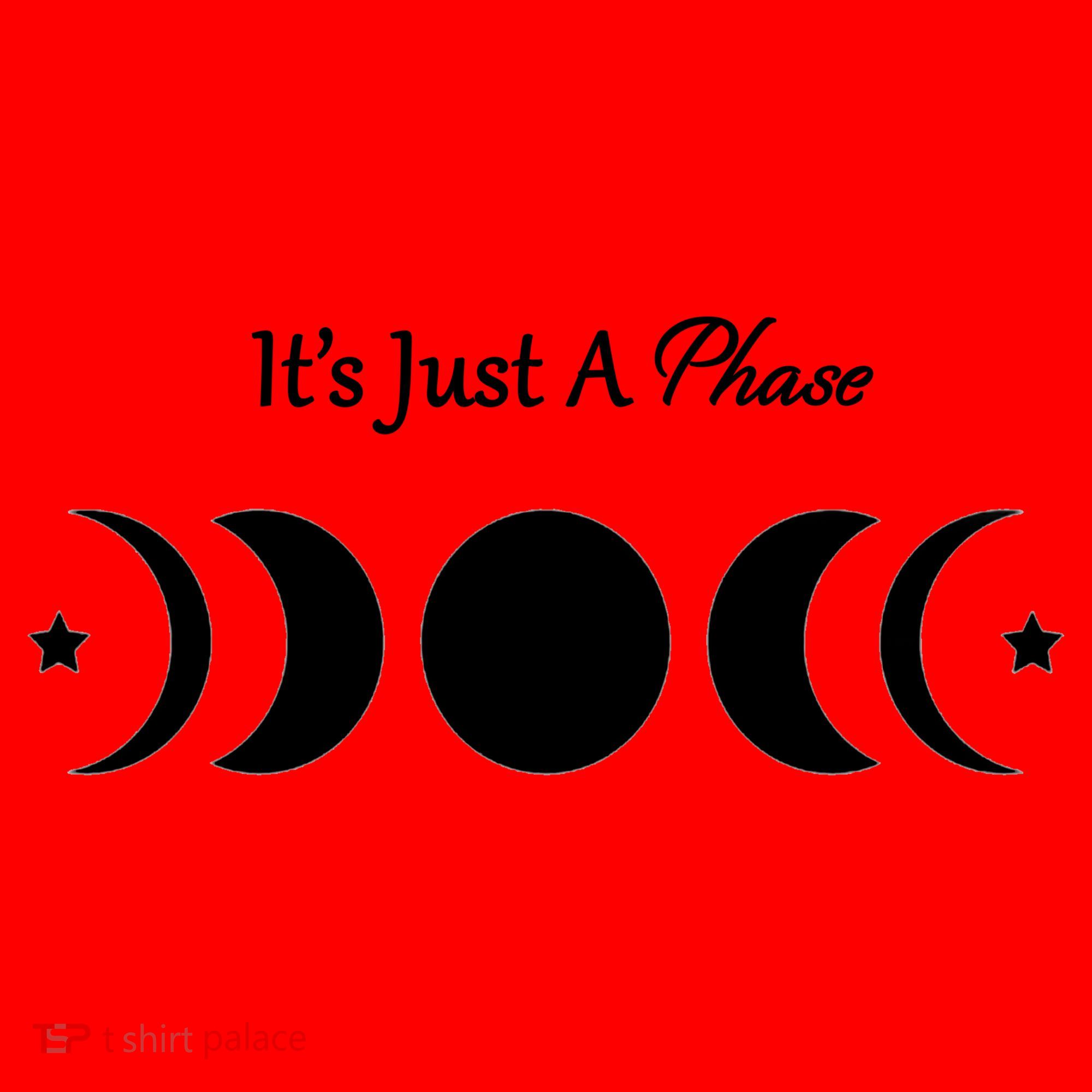 It's Just A Phase Santa Hat