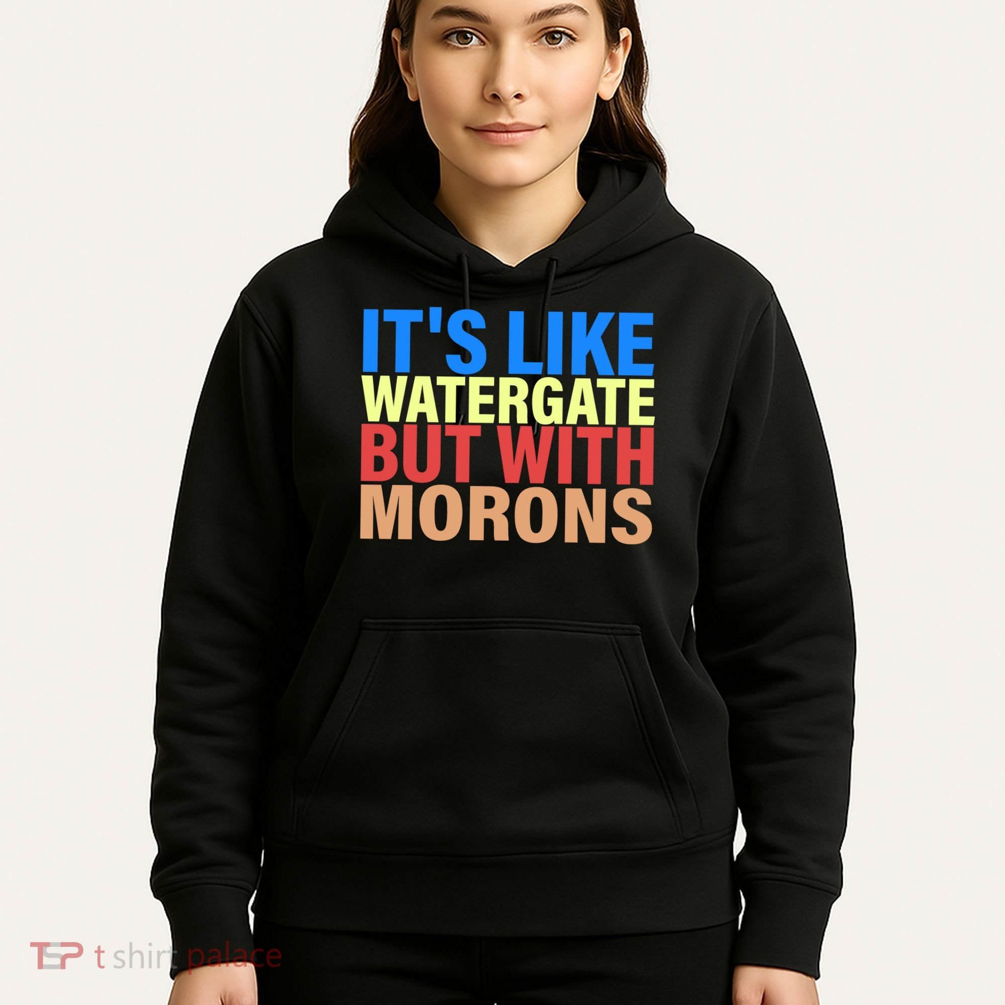 It's Like Watergate But With Morons Hoodie