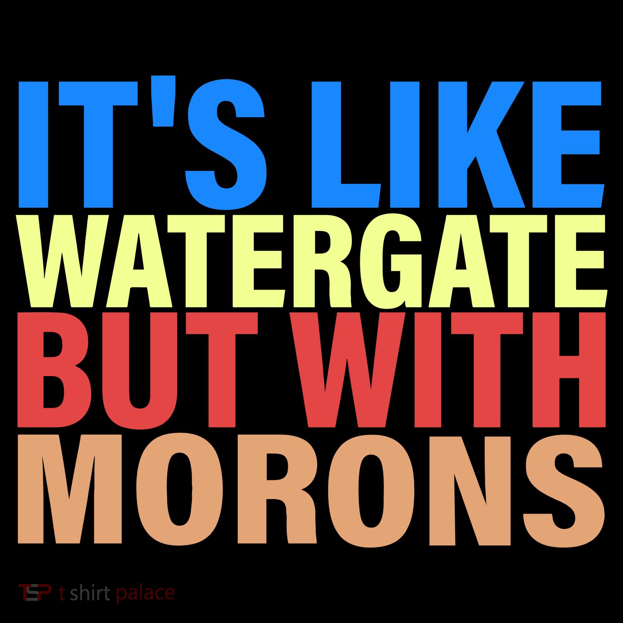 It's Like Watergate But With Morons Hoodie