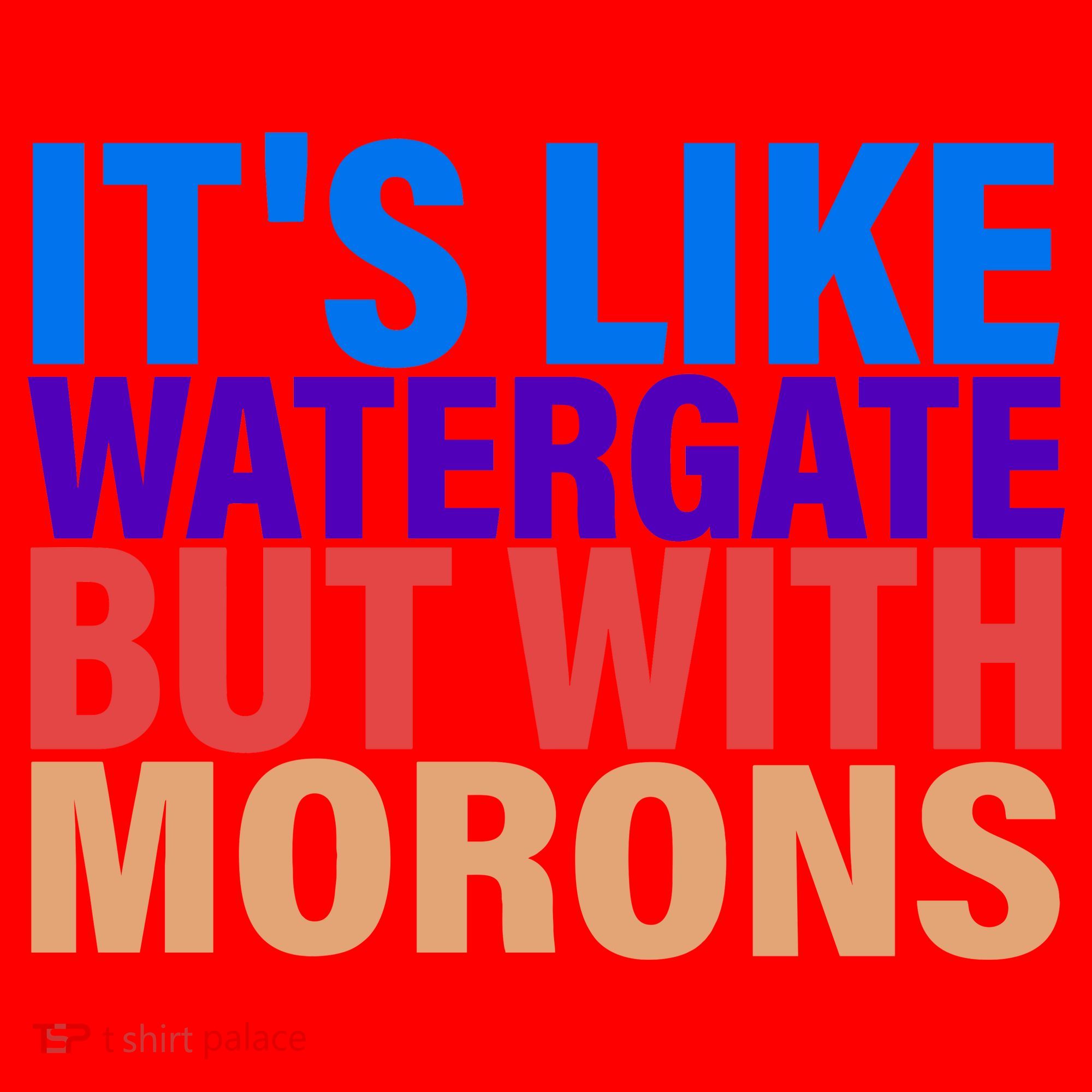 It's Like Watergate But With Morons Santa Hat