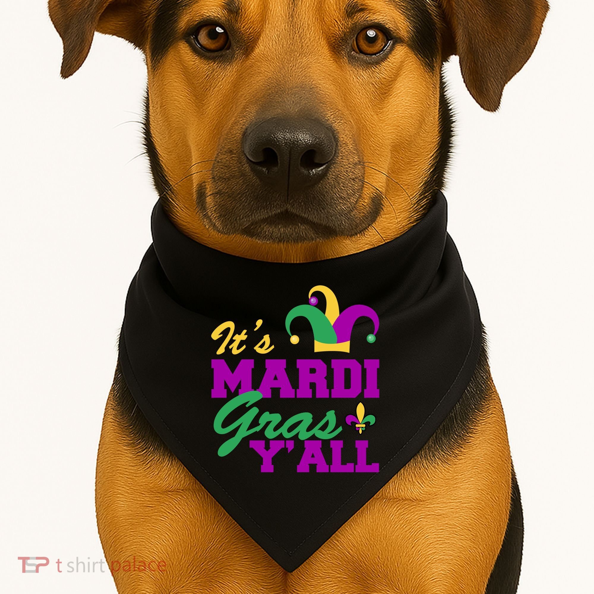 It's Mardi Gras Y'all New Orleans Celebration USA-Made Doggie Bandana