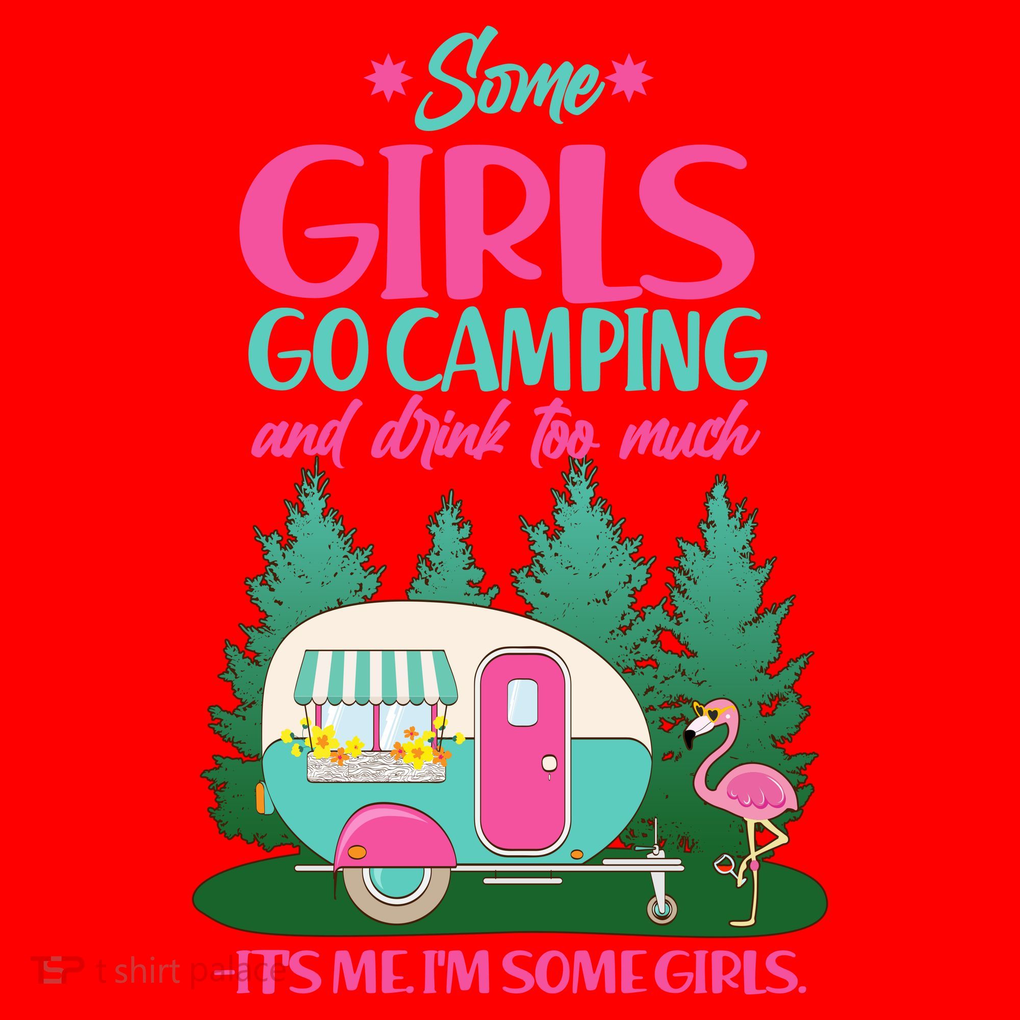 It's Me I'm Some Girls Go Camping And Drink Too Much Santa Hat