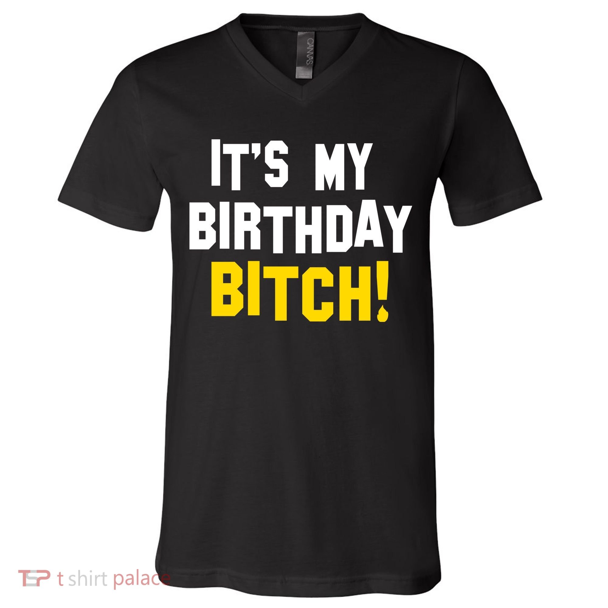 It's My Birthday Bitch! V-Neck T-Shirt