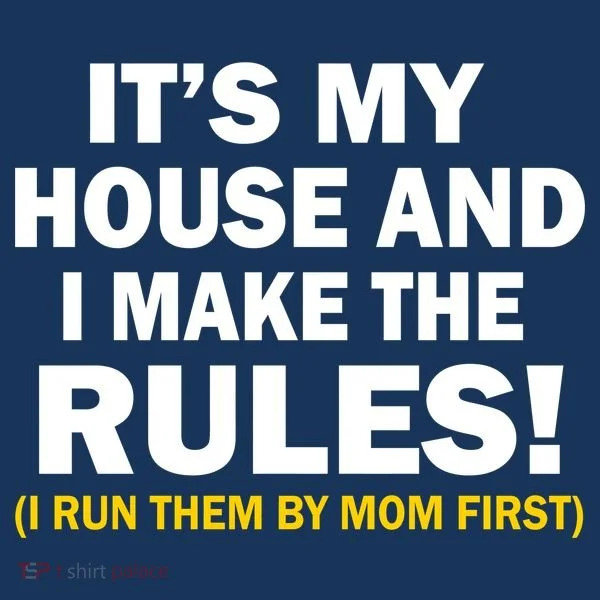 It's My House And I Make The Rules! Toddler Hoodie