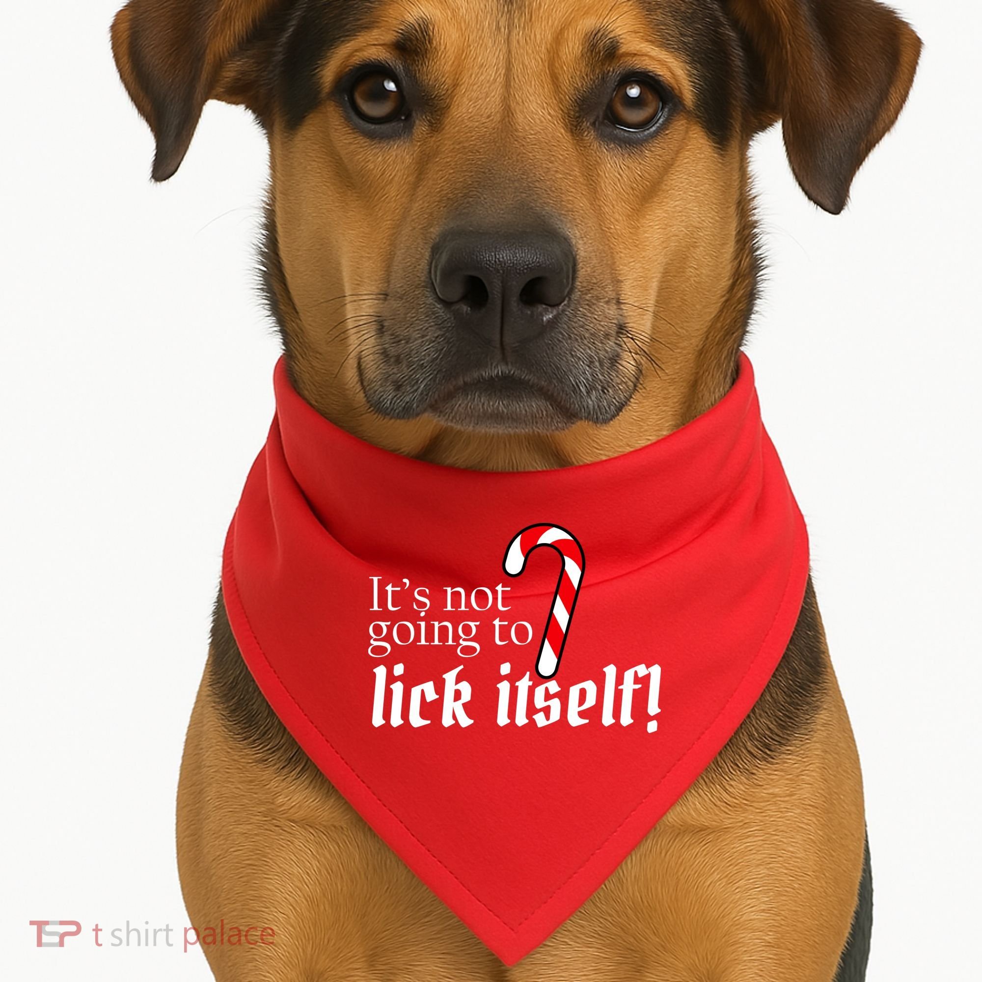 It's Not Going To Lick Itself Candy Cane USA-Made Doggie Bandana