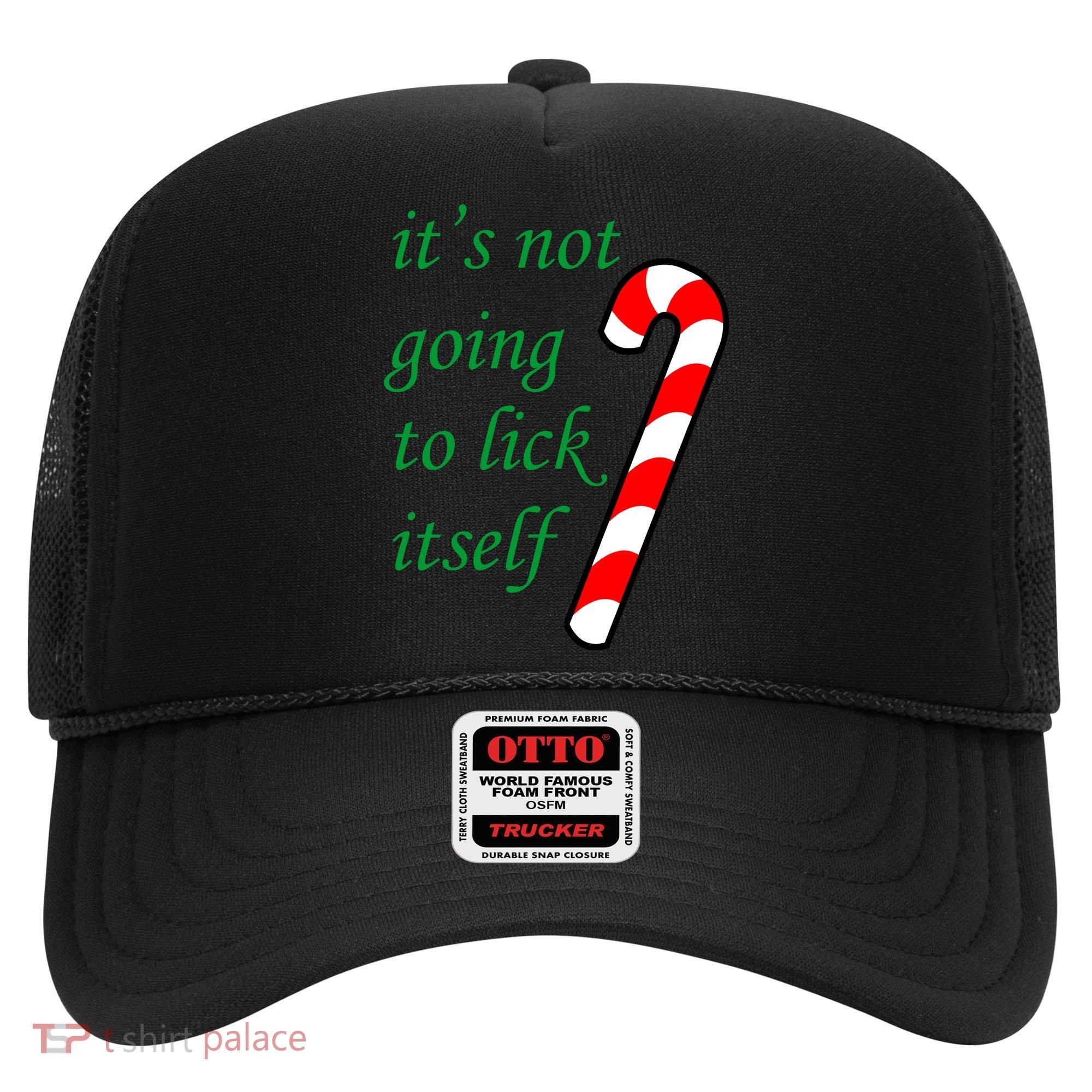 It's Not Going To Lick Itself Funny Naughty Christmas Hat