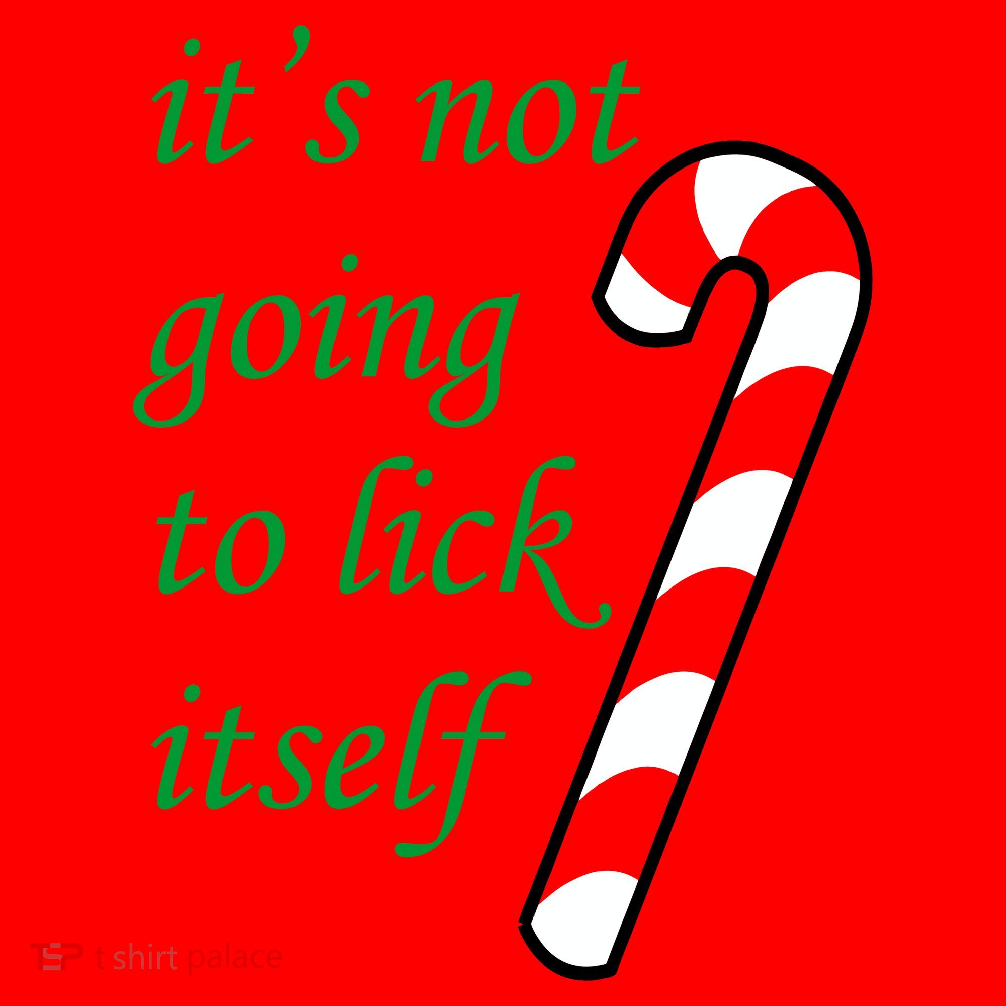 It's Not Going To Lick Itself Funny Naughty Christmas Santa Hat