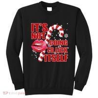 It's Not Going To Lick Itself Funny X-Mas Sweatshirt thumb 0