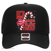It's Not Going To Lick Itself Funny X-Mas Hat thumb 0