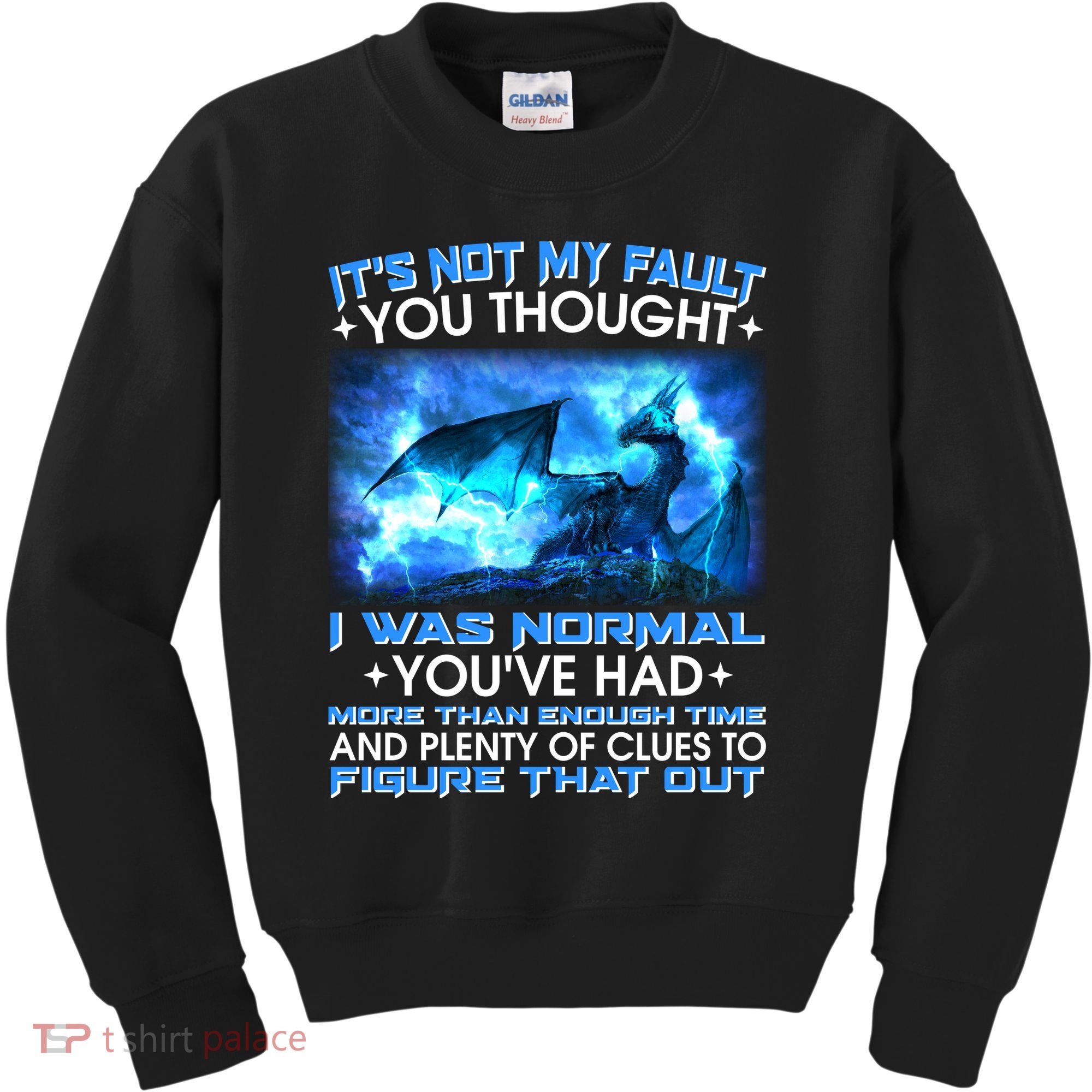 It's Not My Fault You Thought I Was Normal Lightning Dragon Kids Sweatshirt