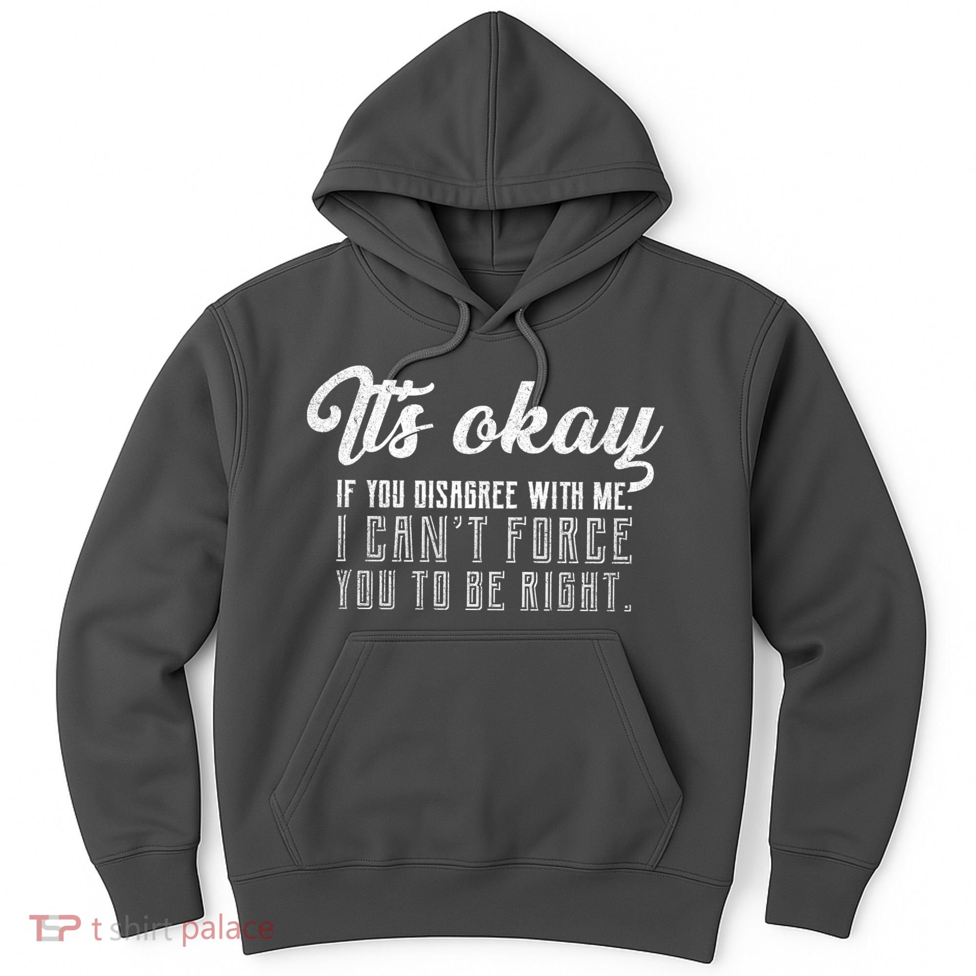 It's Okay Disagree With Me Funny Meme Hoodie