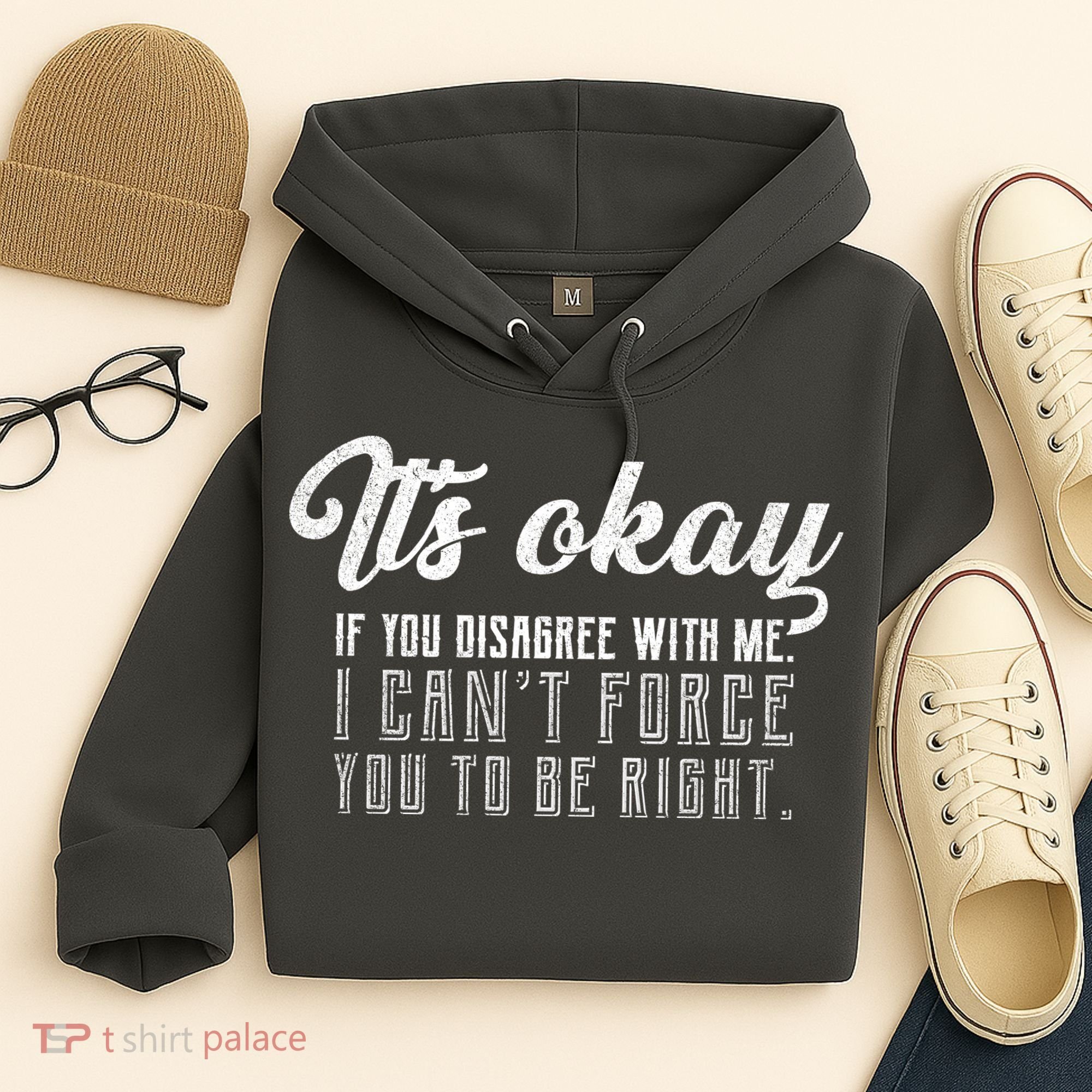It's Okay Disagree With Me Funny Meme Hoodie