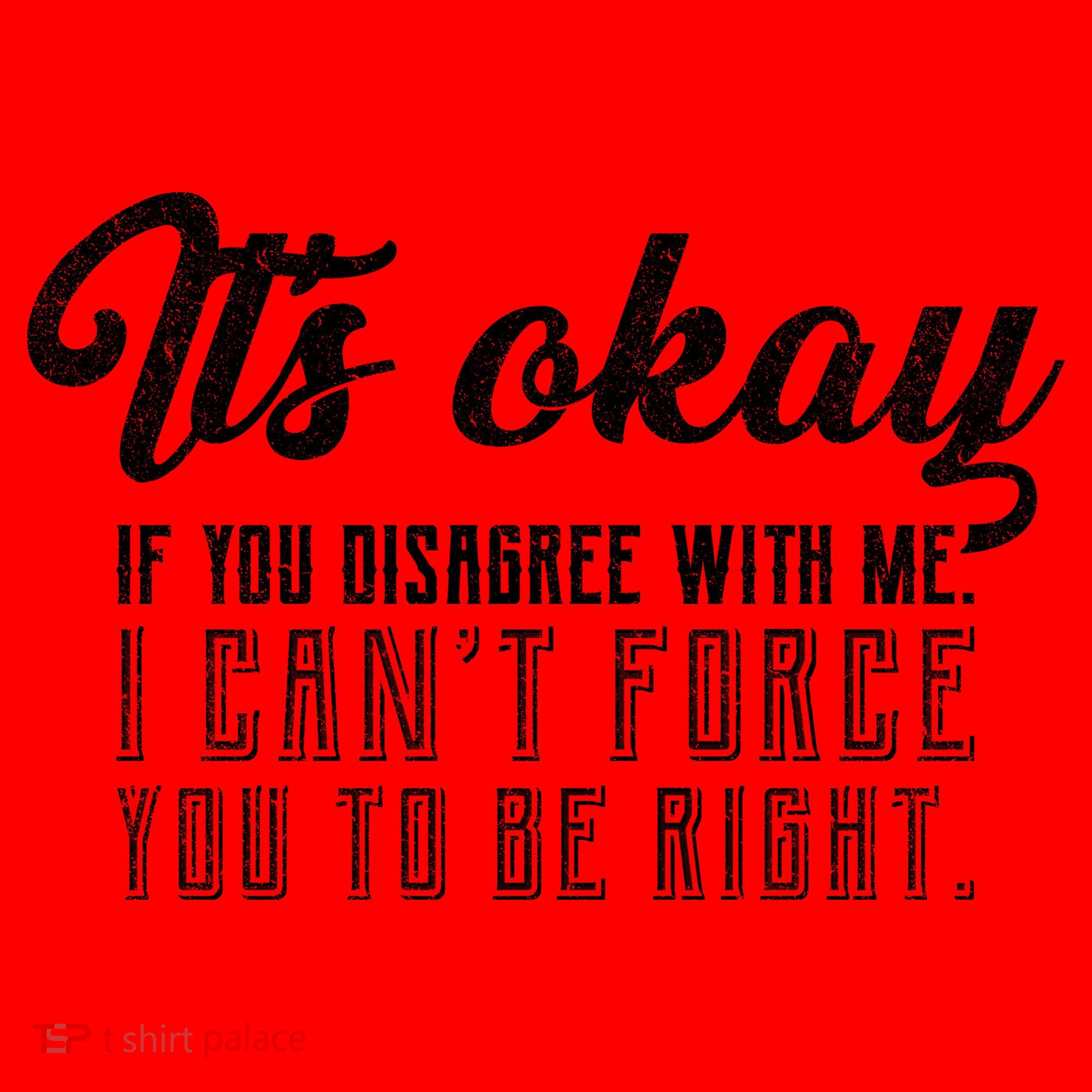 It's Okay Disagree With Me Funny Meme Santa Hat
