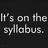 It's on the Syllabus. Kids Sweatshirt thumb 2