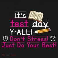 It's Test Day Ya'll Don't Stress Just Do Your Best Ornament thumb 1