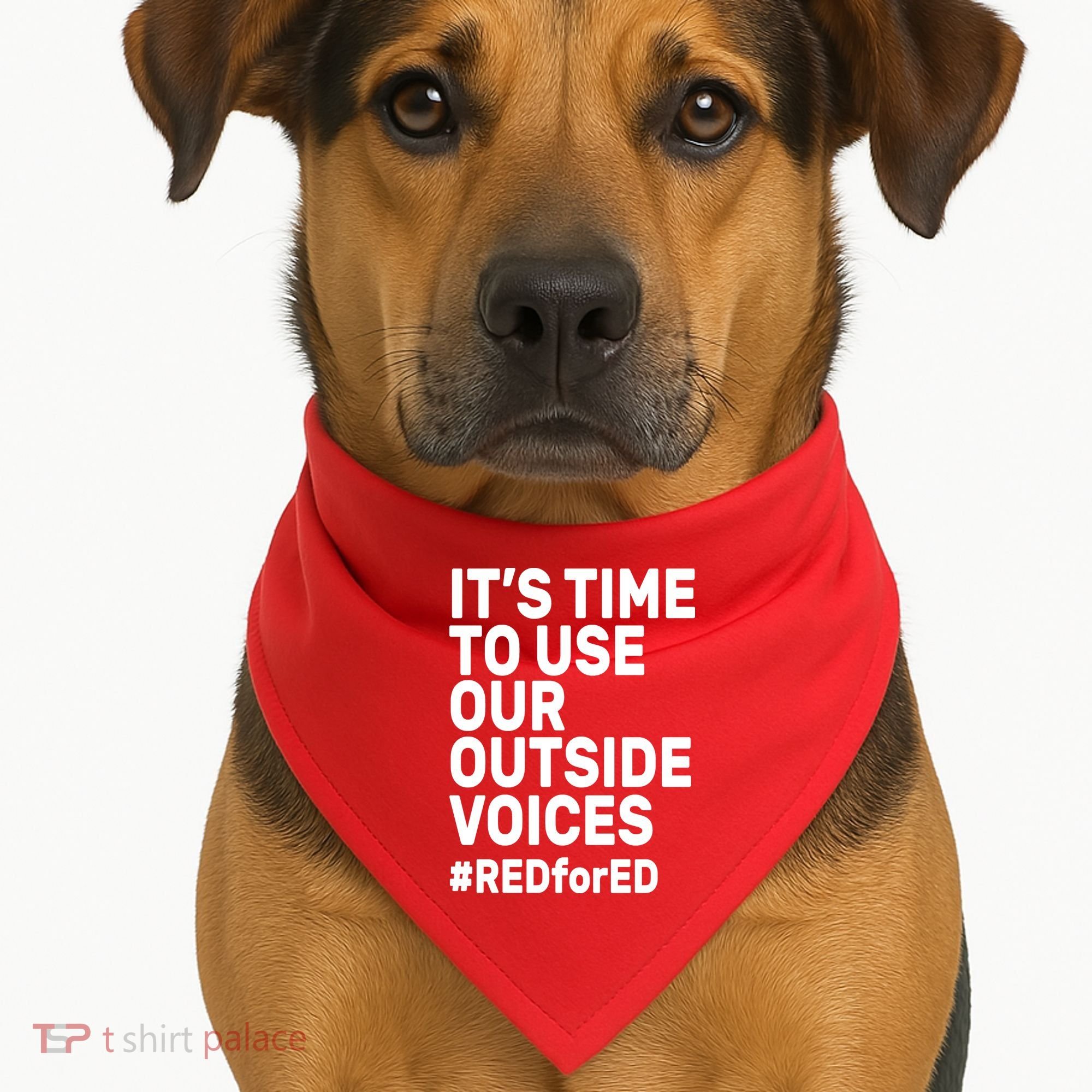 It's Time To Use Our Outside Voice Red For Ed USA-Made Doggie Bandana
