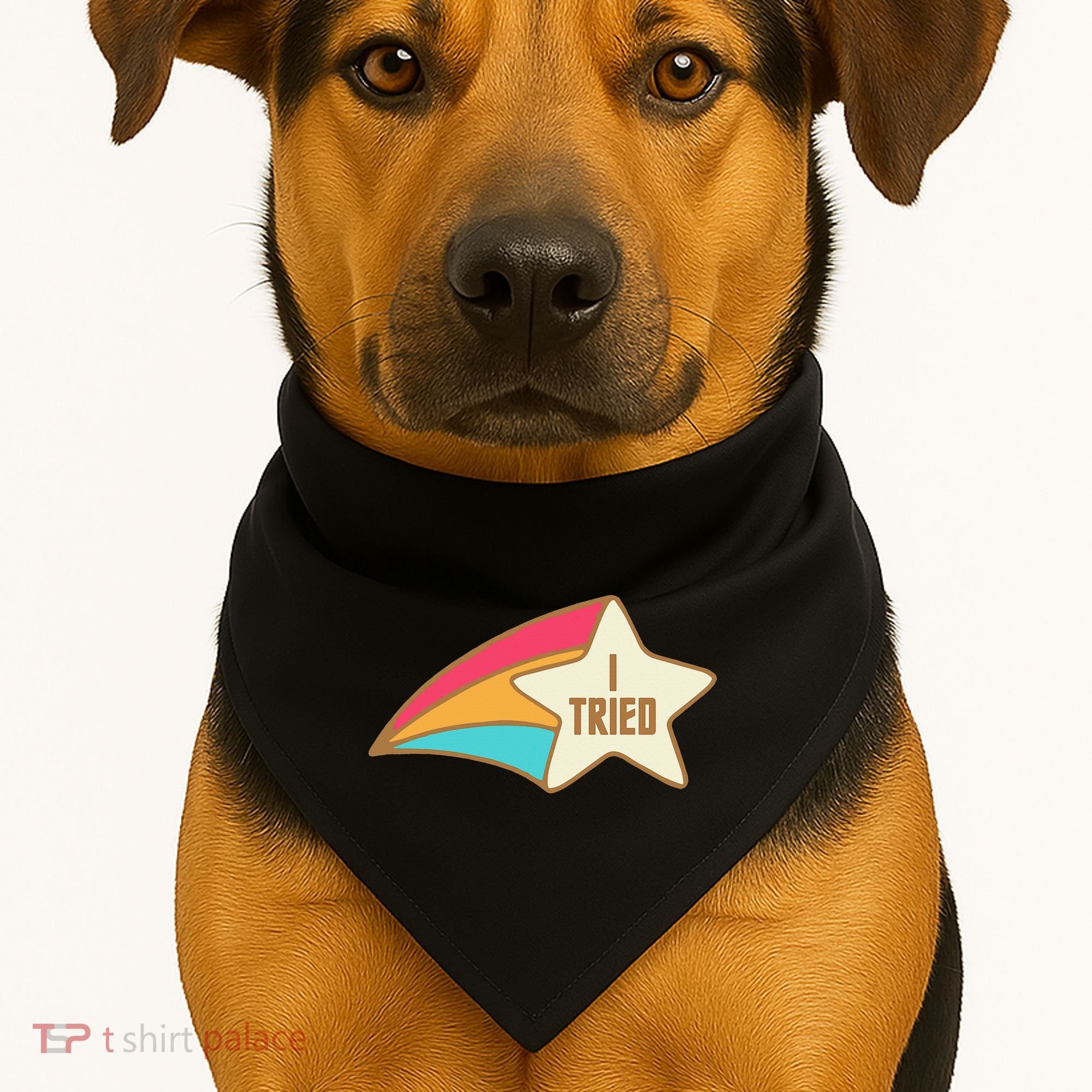 I Tried Star Award Test Day Testing Day Exam For Students USA-Made Doggie Bandana