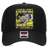 In This Sinful World I Desire Only Cheese Rat Japanese Hat thumb 0