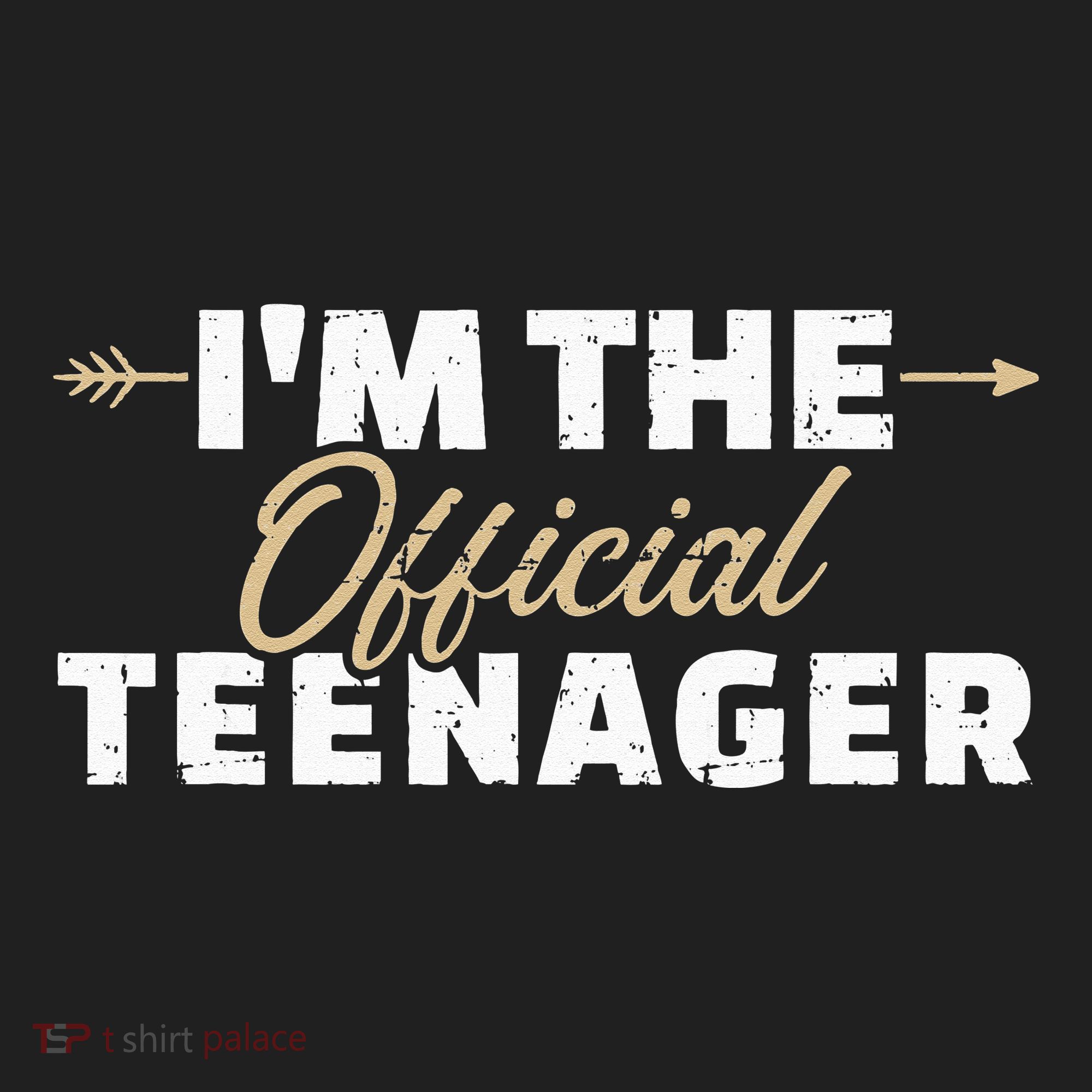 I'm the teenager 13th birthday Beanie