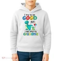 I Try To Be Good But I Take After My Grandma Cute Dinosaur Kids Hoodie thumb 4