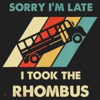 I Took The Rhombus Funny Math Nerd Funny Math Gift Beanie thumb 2