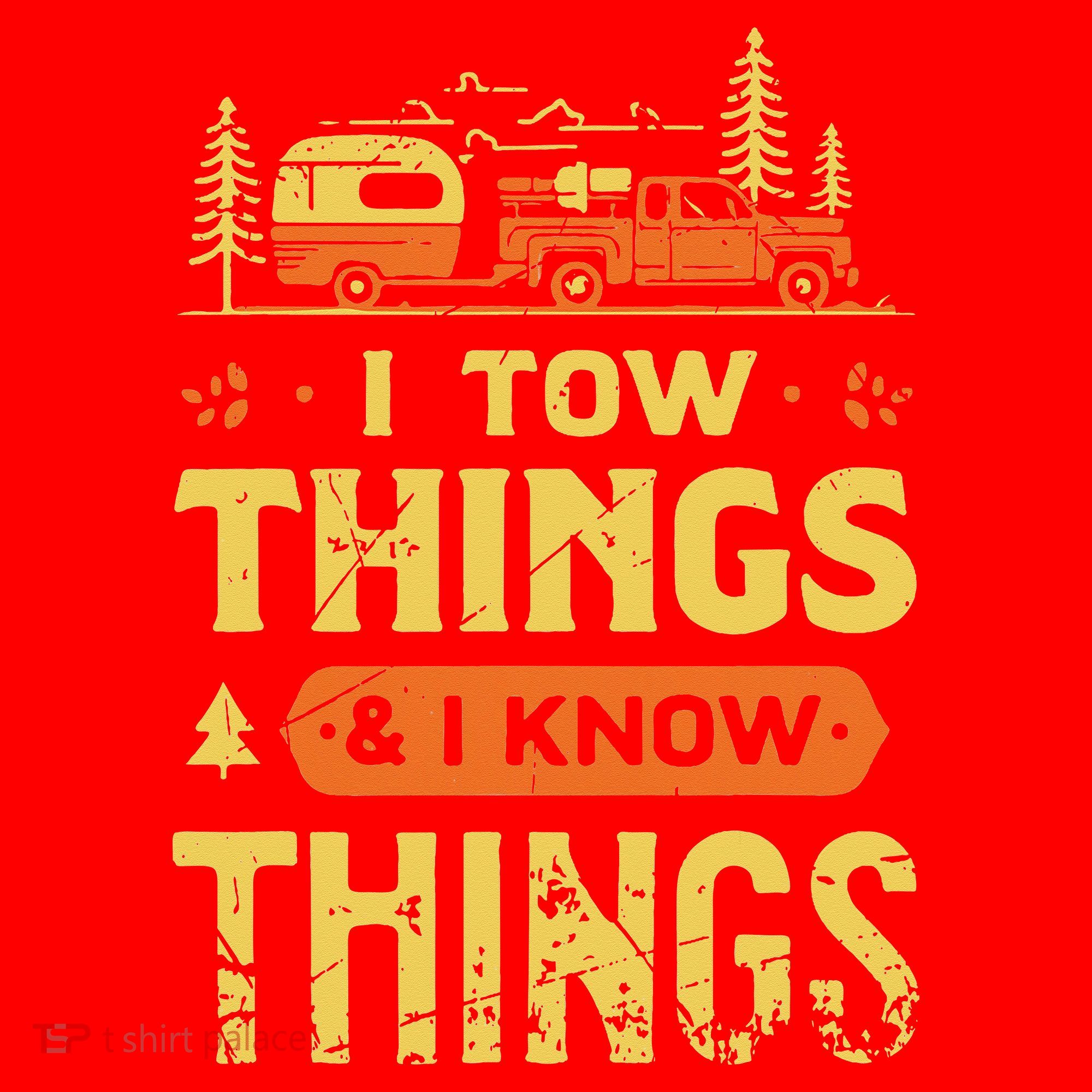 I Tow Things And I Know Things Santa Hat