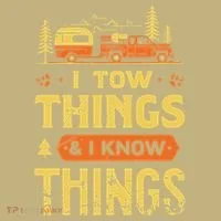 I Tow Things And I Know Things Hoodie thumb 2